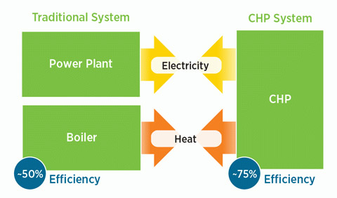 CHP Process Flow Diagram 